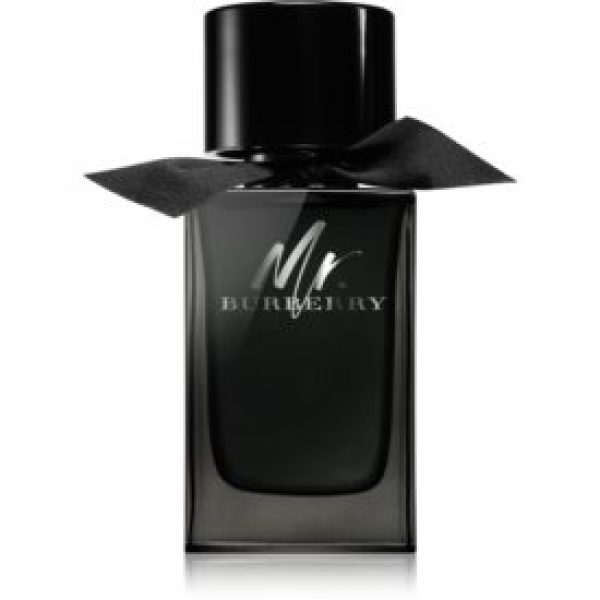 Burberry Mr. Burberry EdP pour lui 100 ml