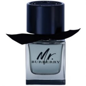 Burberry Mr. Burberry Eau de toilette pour homme