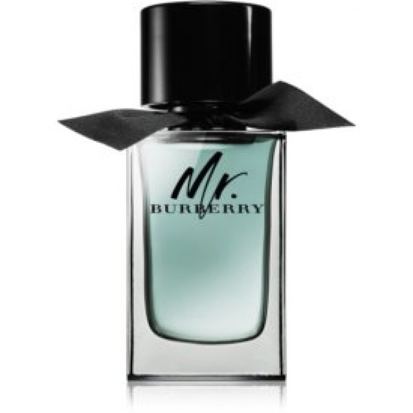 Burberry Mr. Burberry EdT pour lui 100 ml