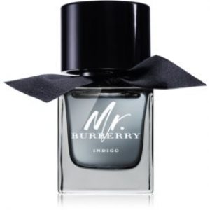 Burberry Mr. Burberry Indigo Eau de toilette pour homme