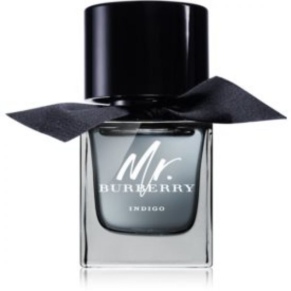 Burberry Mr. Burberry Indigo Eau de toilette pour homme